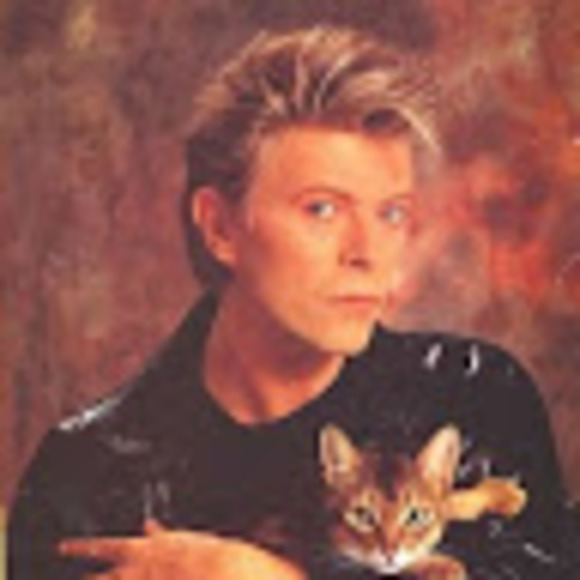 Meet your Posher, Marina - Picture 1 of 1